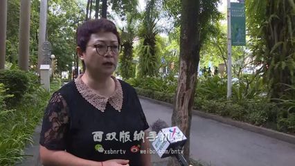 人要臉樹要皮！綠化樹遭惡意剝皮，城市綠化管理亟待加強