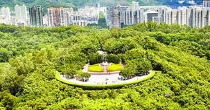 深圳 從“千園之城”到全國一流綠化城市的典范之路